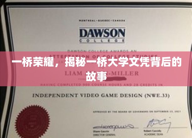 一桥荣耀，揭开一桥大学文凭背后的神秘面纱