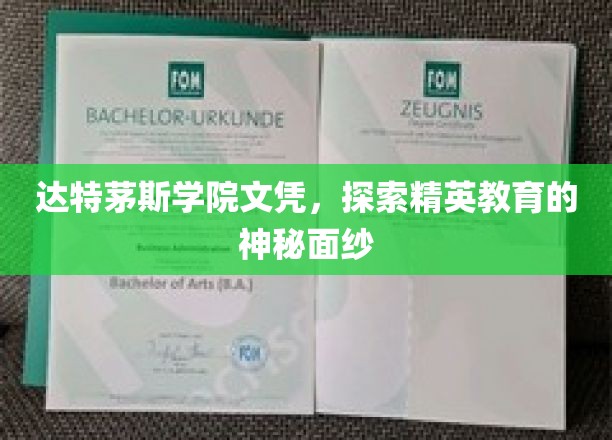 揭开达特茅斯精英教育的神秘光环