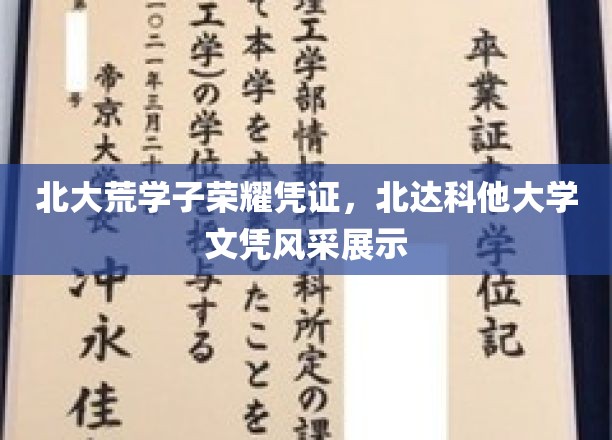 北大荒精英闪耀北美，北达科他文凭荣耀展翅