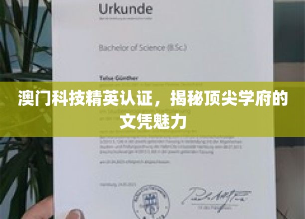 澳门科技精英护照，探索顶尖学府文凭的独特魅力