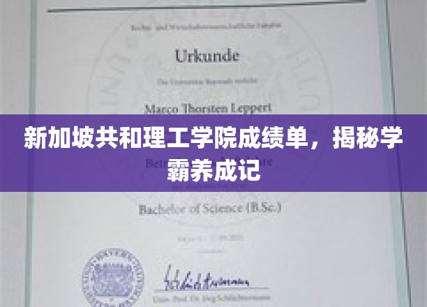 新加坡学霸养成之路，共和理工学院成绩单背后的秘密解析