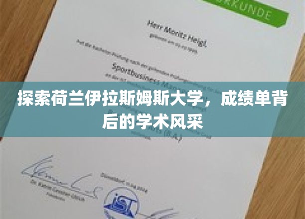 解码荷兰伊拉斯姆斯大学，揭秘学霸背后的学术魅力