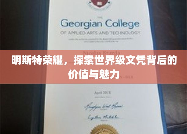 明斯特荣耀，探索世界级文凭背后的价值与魅力