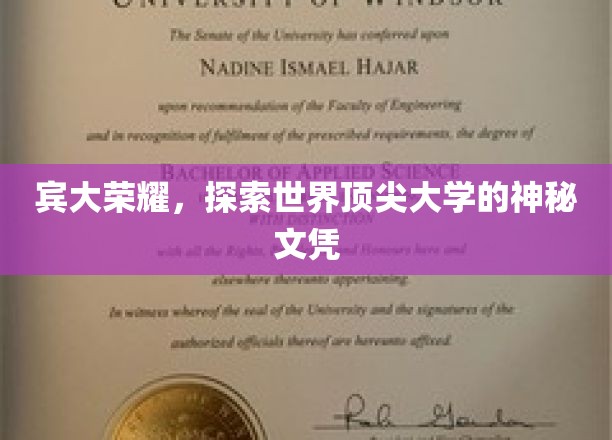 解码宾大荣耀，揭秘世界顶尖大学的神秘文凭之谜