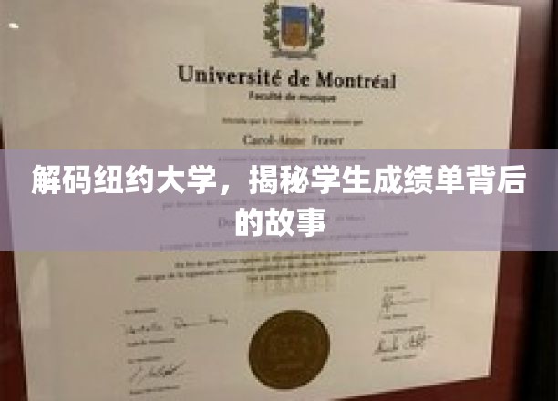 解码纽约大学：揭开学生成绩单背后的故事