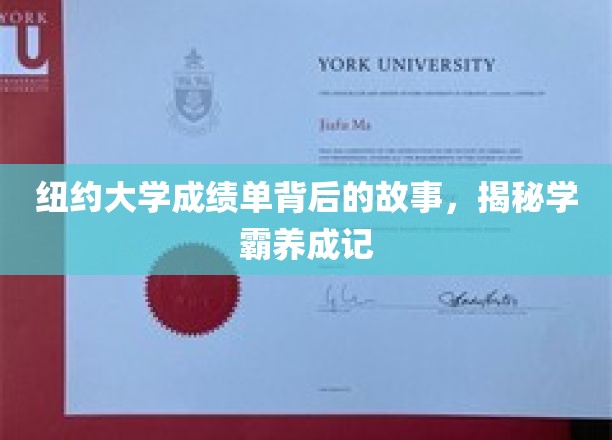 探寻学霸养成，纽约大学成绩单背后的成长轨迹