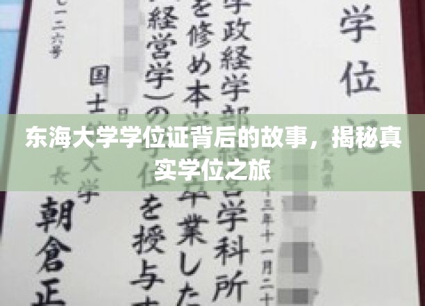 东海学府荣耀证，探寻学子们的学位征途传奇
