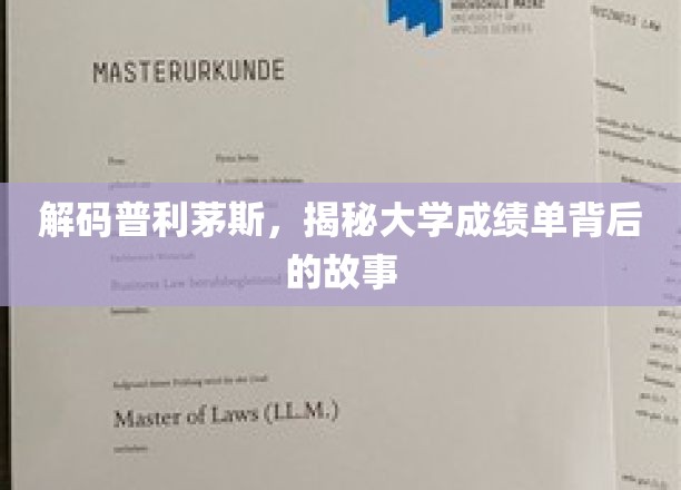 解码普利茅斯，探寻大学成绩单背后的故事