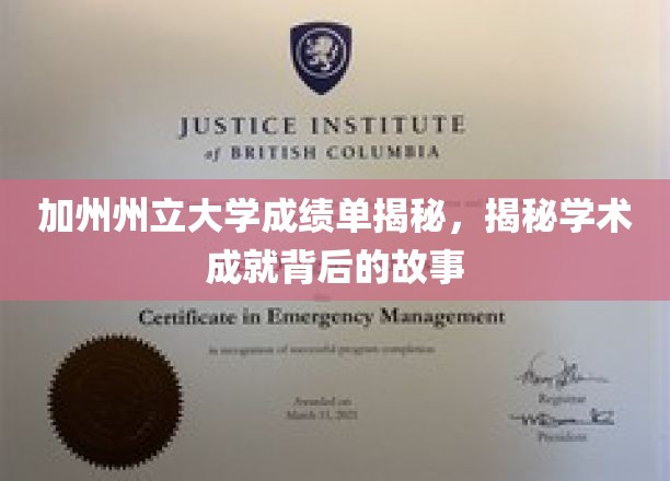 解码加州州立大学成绩单，探寻学子卓越背后的真实轨迹