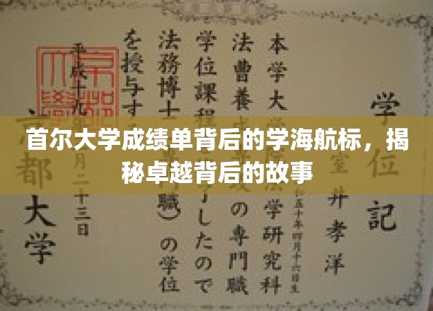 首尔大学成绩单背后的学海航标，揭秘卓越背后的故事