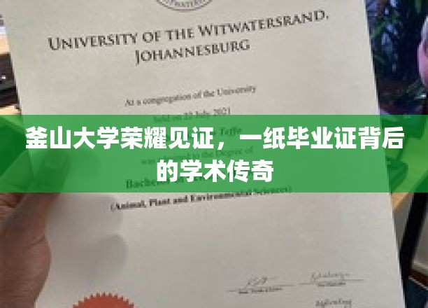 釜山大学毕业证背后的辉煌篇章，揭秘学术传奇背后的荣耀时刻
