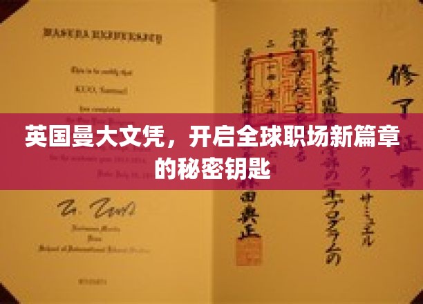 解锁国际职场大门，曼大文凭背后的全球通行证