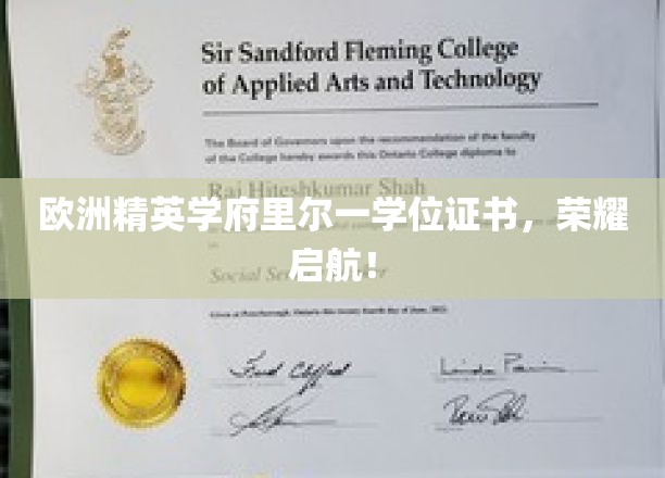 里尔精英学府学位荣耀，开启人生新篇章