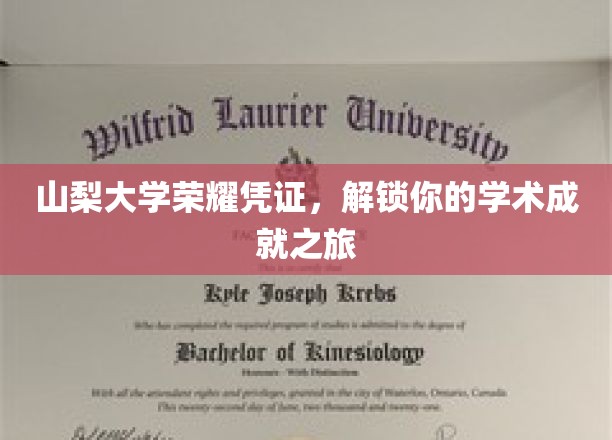 山梨大学荣耀徽章，开启学术巅峰之旅