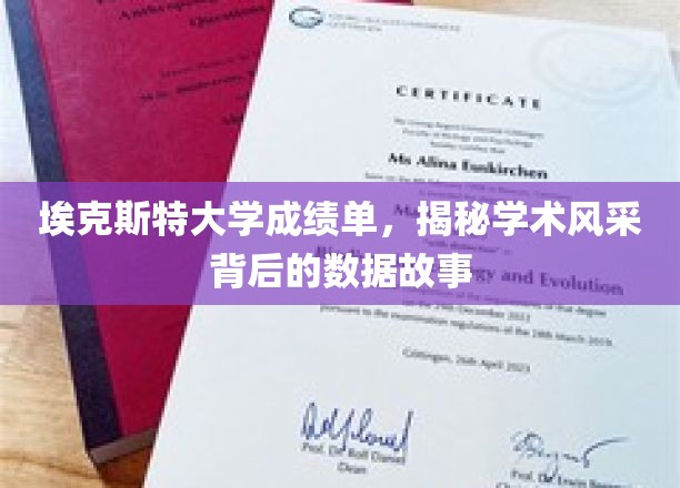 探寻埃克斯特大学成绩单中的智慧轨迹，学术风采背后的数据启示