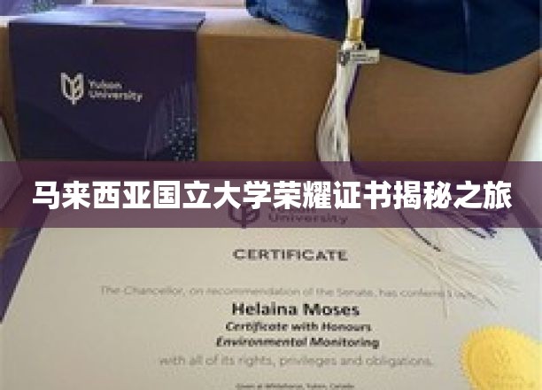 解码马大荣耀，揭秘国立大学证书背后的故事
