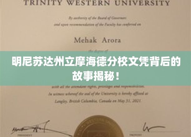 揭开明尼苏达州立摩海德分校文凭的神秘面纱，一场不为人知的传奇之旅