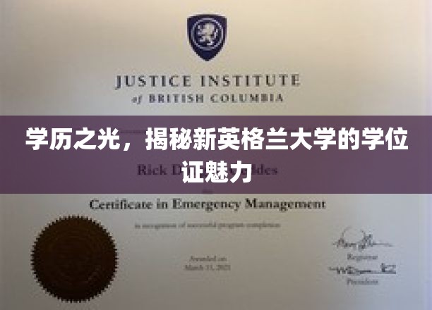 新英格兰大学学位证，探寻学术殿堂的荣耀凭证