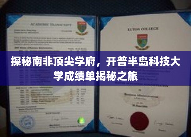 解码开普半岛科技大学的卓越成就，南非顶尖学府的深度探秘之旅