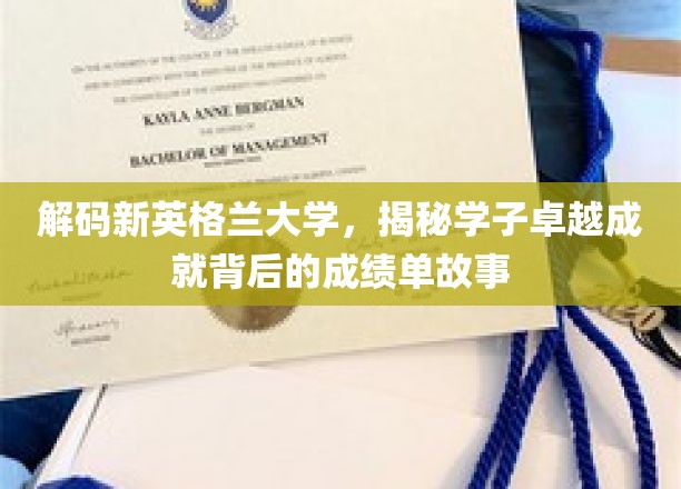 探寻新英格兰学霸之路，揭开学子非凡成绩背后的秘密档案