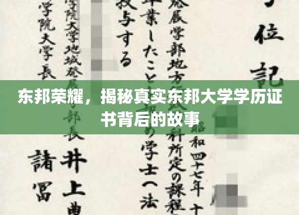 东邦荣耀，揭秘真实东邦大学学历证书背后的故事
