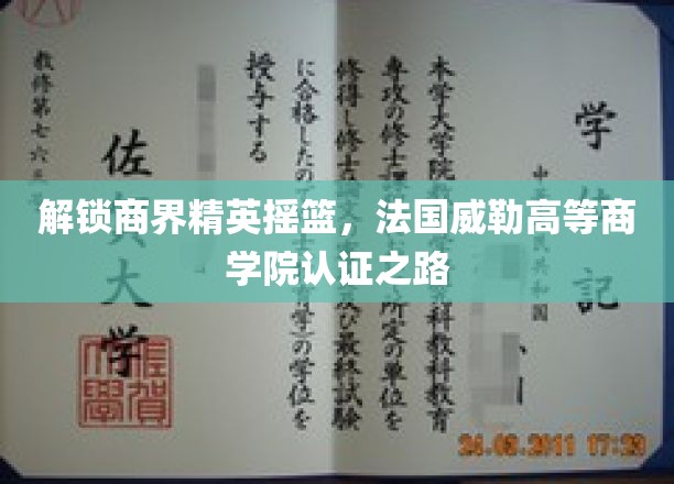商界精英孵化器，法国威勒高等商学院的卓越认证之旅