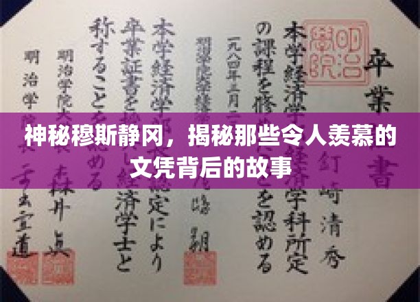 神秘穆斯静冈，揭秘那些令人羡慕的文凭背后的故事