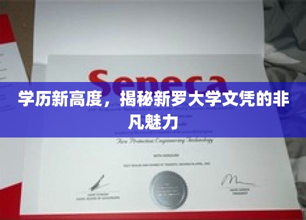 学历新高度，揭秘新罗大学学位证书的非凡魅力