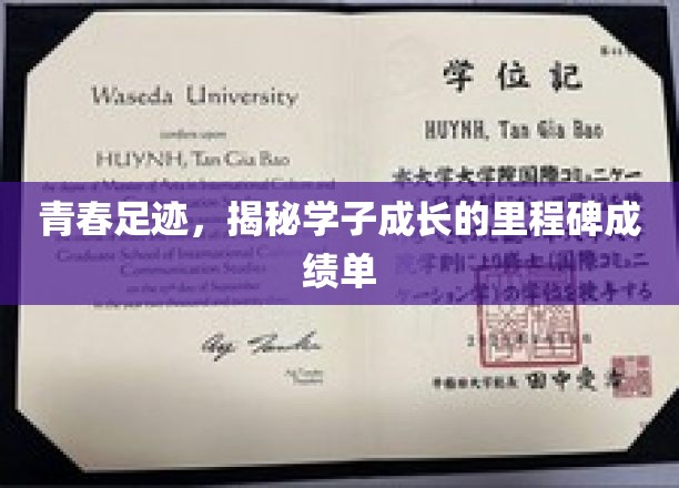 青春足迹，揭秘学子成长的里程碑成绩单