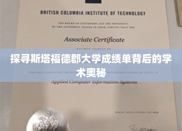 揭秘斯塔福德郡大学成绩单中的学术精髓