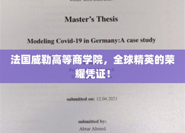 法国威勒高等商学院，全球精英的荣耀凭证！