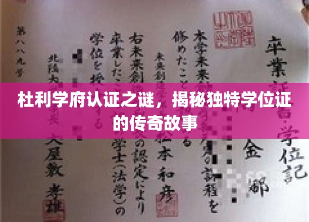 杜利学府学位证之谜，一纸证书背后的传奇传承之路