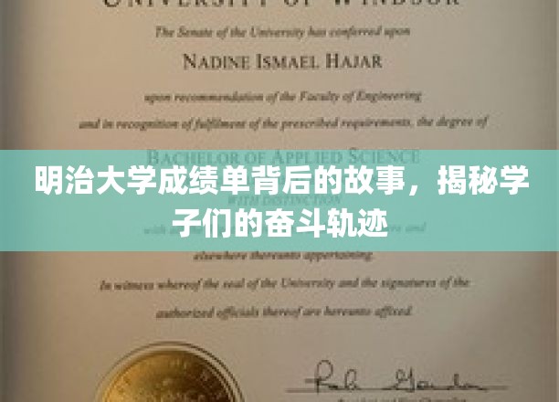 明治风云，一纸成绩单，映照学子砥砺前行之路