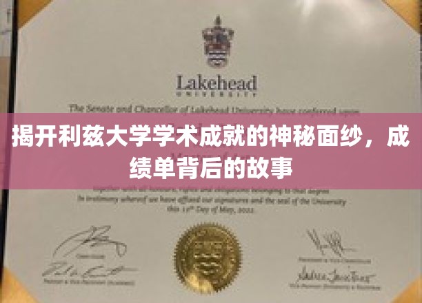 探寻利兹大学辉煌成就之谜，揭秘成绩单背后的传奇故事