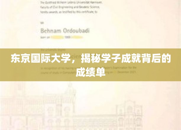 揭秘东京国际大学精英学子，辉煌成就背后的实力证明