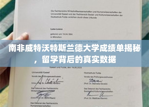 揭开南非威特沃特斯兰德大学留学成绩单之谜，真实数据背后的留学真相