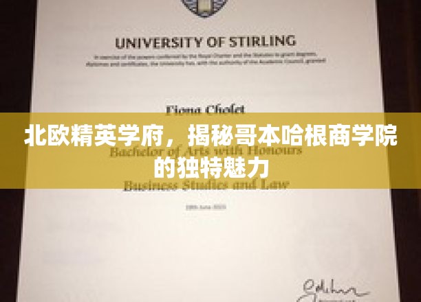 领略哥本哈根商学院，北欧教育殿堂的卓越风采