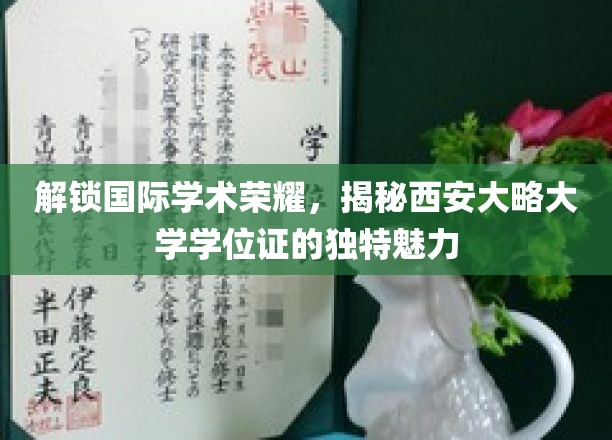 探秘西安大略大学学位证，一纸证书背后的国际学术风采
