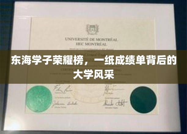 东海骄子风采录，揭秘成绩单背后的青春篇章