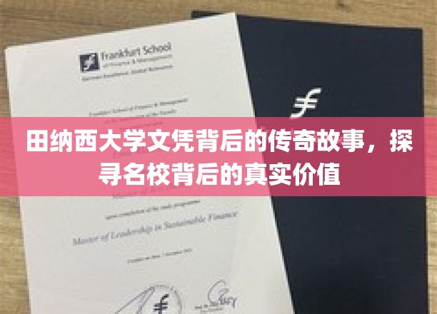名校光环下的真实轨迹，田纳西大学文凭背后的传奇人生