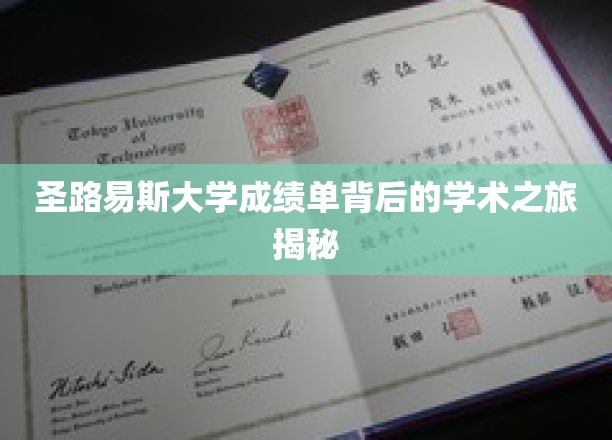 探寻圣路易斯大学成绩单背后的精彩学术足迹