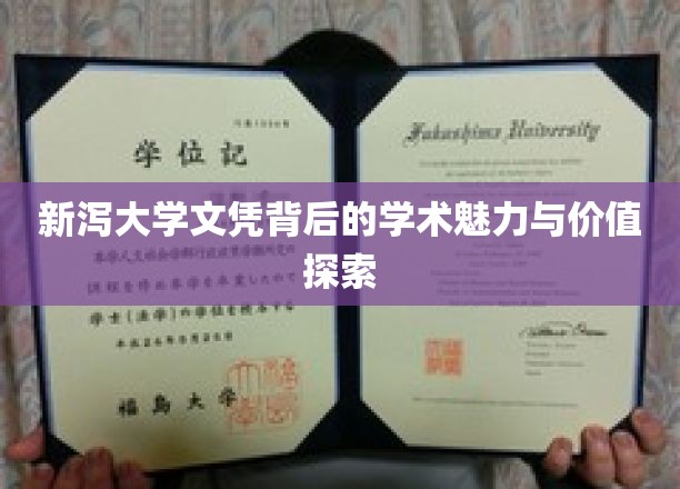 揭秘新泻大学文凭背后的学术光环与独特价值