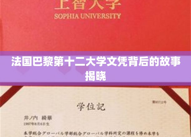 探寻巴黎第十二大学文凭背后的传奇历程