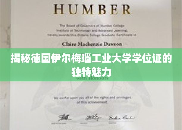德国伊尔梅瑙工业大学学位证，探寻其非凡设计背后的故事
