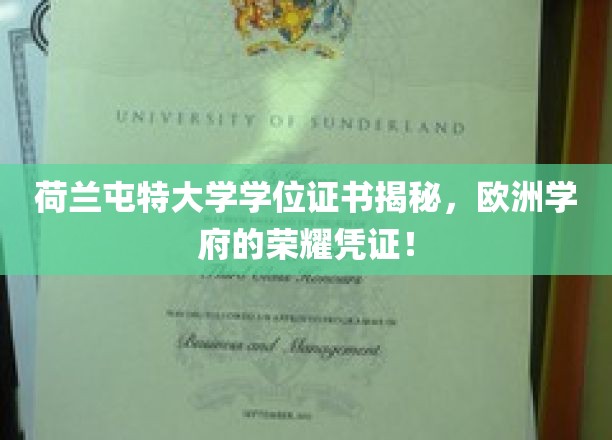 荷兰屯特大学学位证书大揭秘，欧洲学府的荣耀象征！