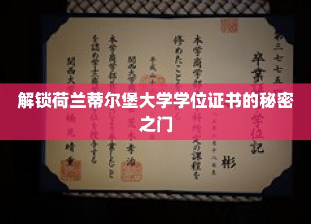 揭秘荷兰蒂尔堡大学学位证书背后的秘密
