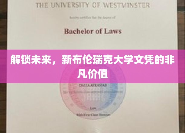 解锁未来，新布伦瑞克大学文凭的非凡价值
