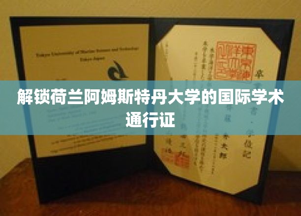 荷兰阿姆斯特丹大学，全球学术精英的黄金钥匙
