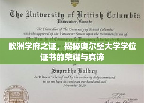 探寻奥尔堡大学学位证书的欧洲荣耀之旅