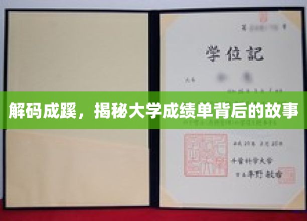 学海无涯，一纸成绩单背后的成长轨迹